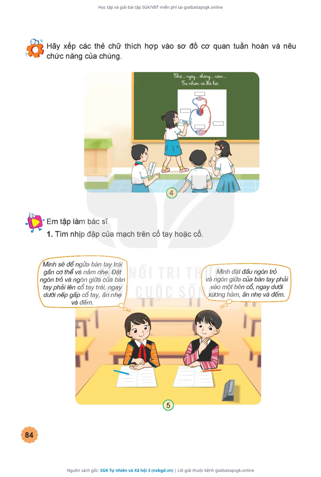 Trang 85 sách giáo khoa SGK Tự nhiên và Xã hội 3 thu nhỏ