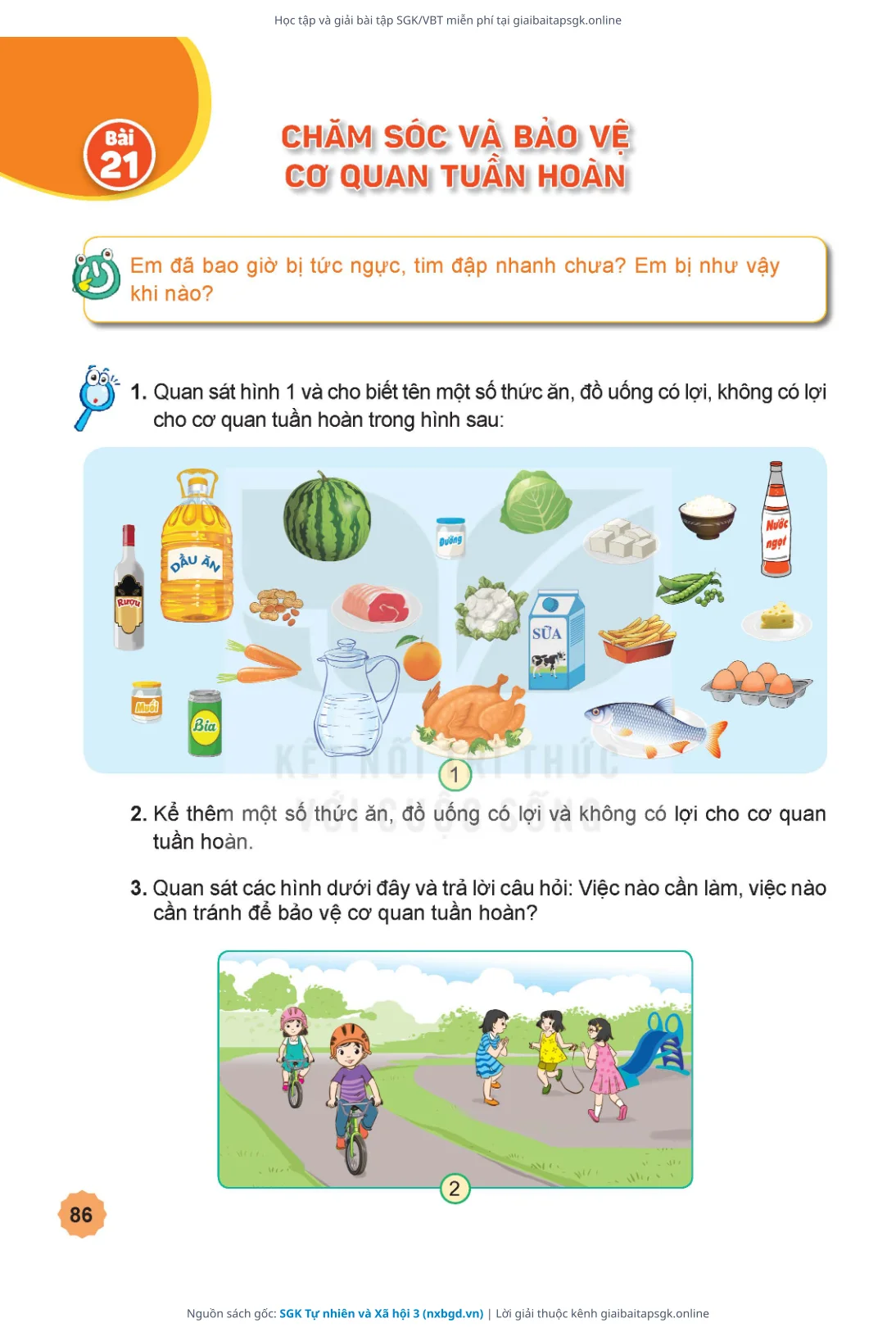 Trang 87 sách giáo khoa SGK Tự nhiên và Xã hội 3 thu nhỏ