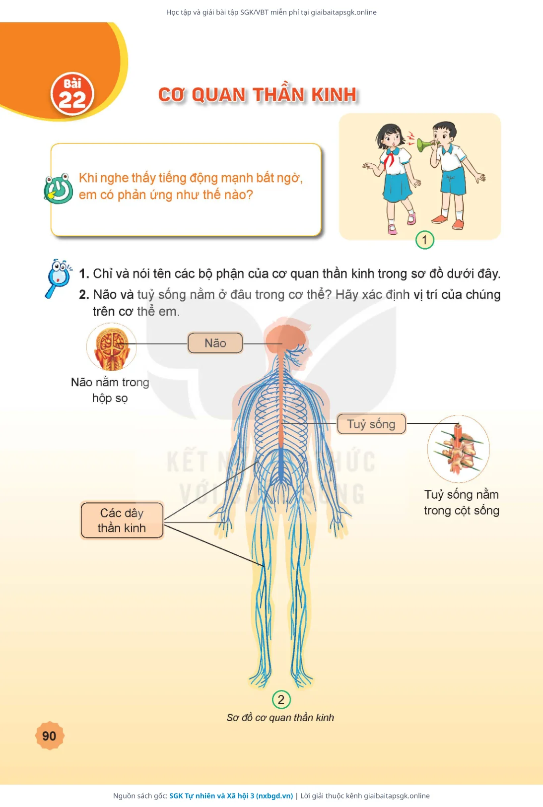 Trang 91 sách giáo khoa SGK Tự nhiên và Xã hội 3 thu nhỏ