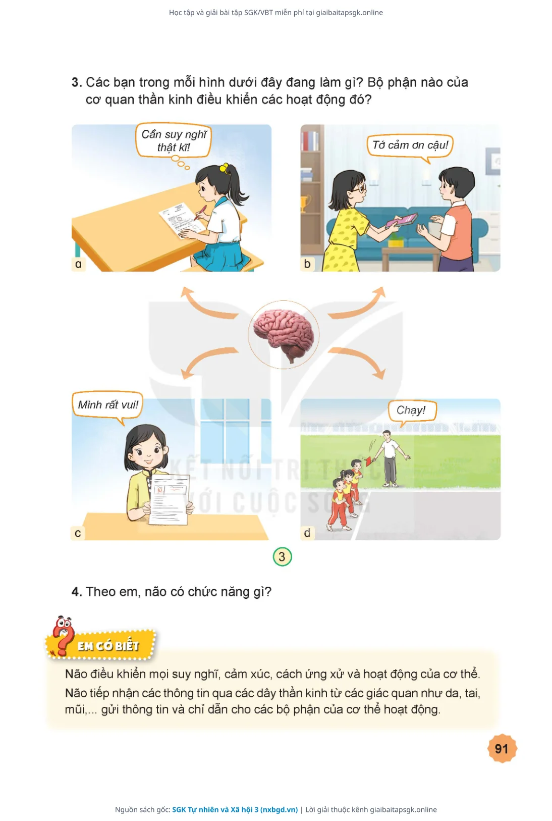 Trang 92 sách giáo khoa SGK Tự nhiên và Xã hội 3 thu nhỏ