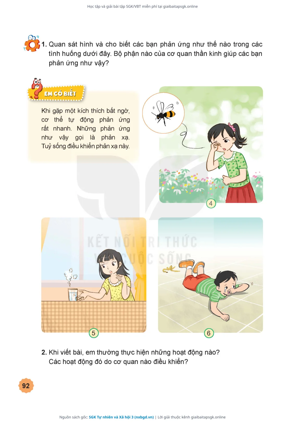 Trang 93 sách giáo khoa SGK Tự nhiên và Xã hội 3 thu nhỏ