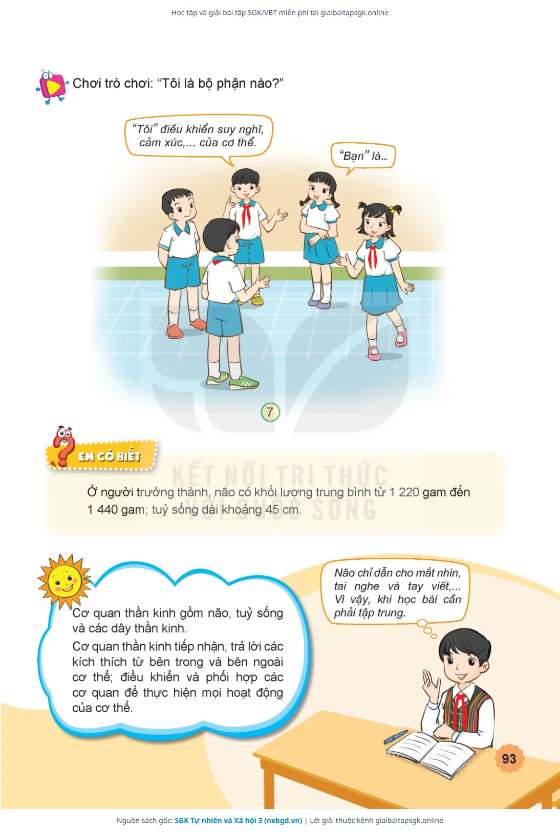 Trang 94 sách giáo khoa SGK Tự nhiên và Xã hội 3 thu nhỏ