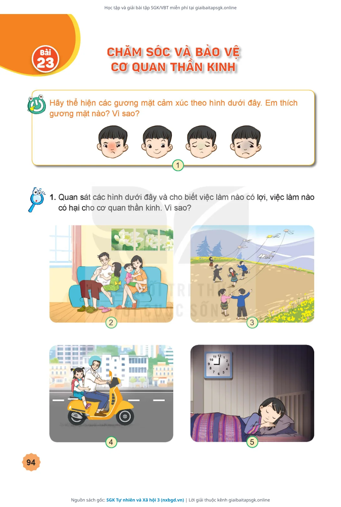 Trang 95 sách giáo khoa SGK Tự nhiên và Xã hội 3 thu nhỏ