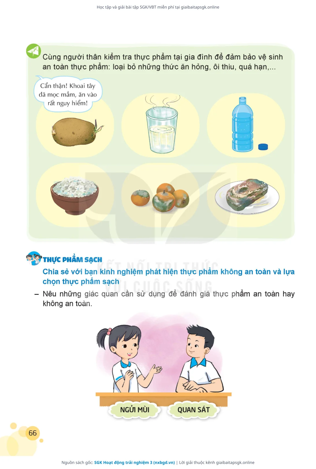 Trang 67 sách giáo khoa SGK Hoạt động trải nghiệm 3 thu nhỏ