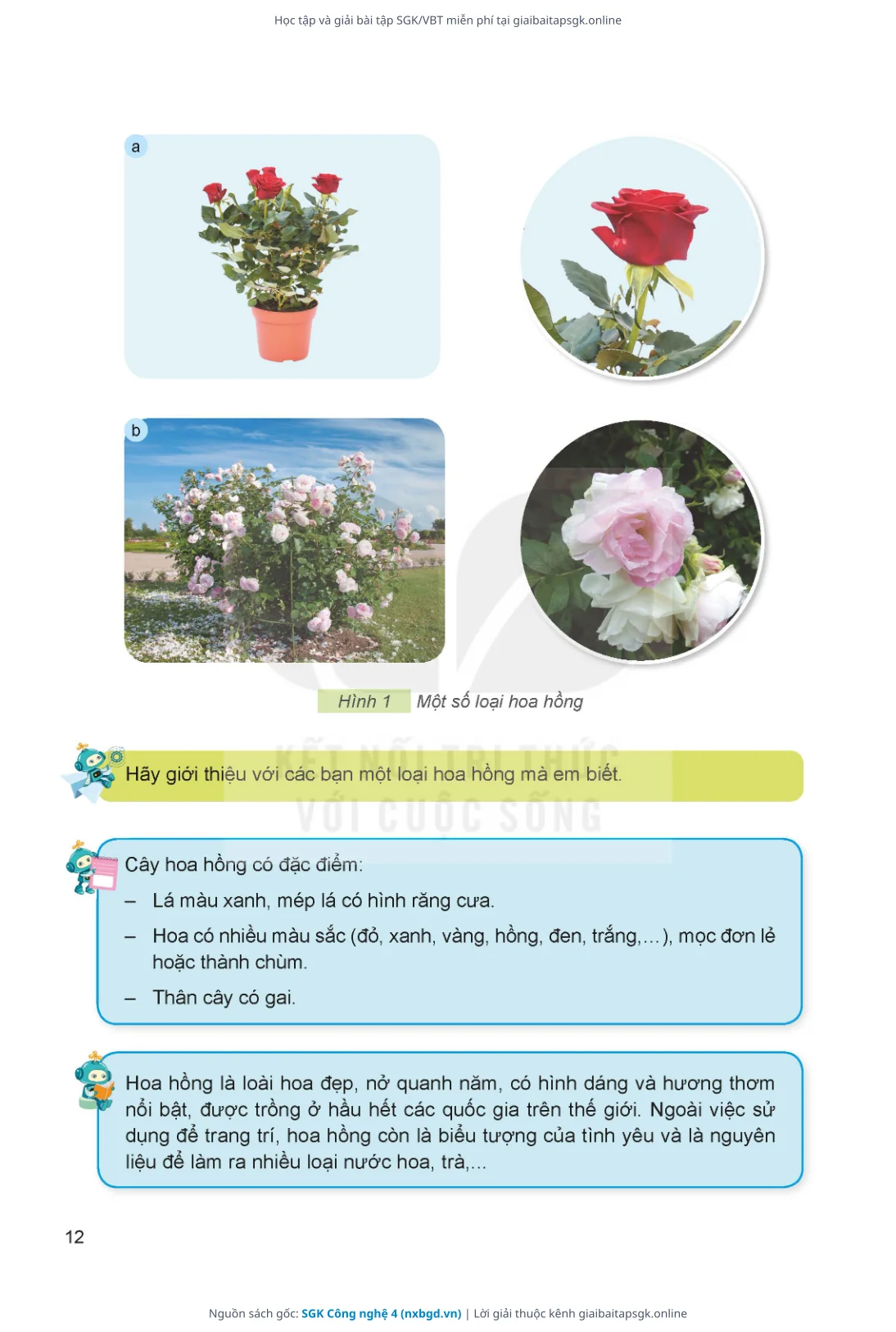 Trang 13 sách giáo khoa SGK Công nghệ 4 thu nhỏ