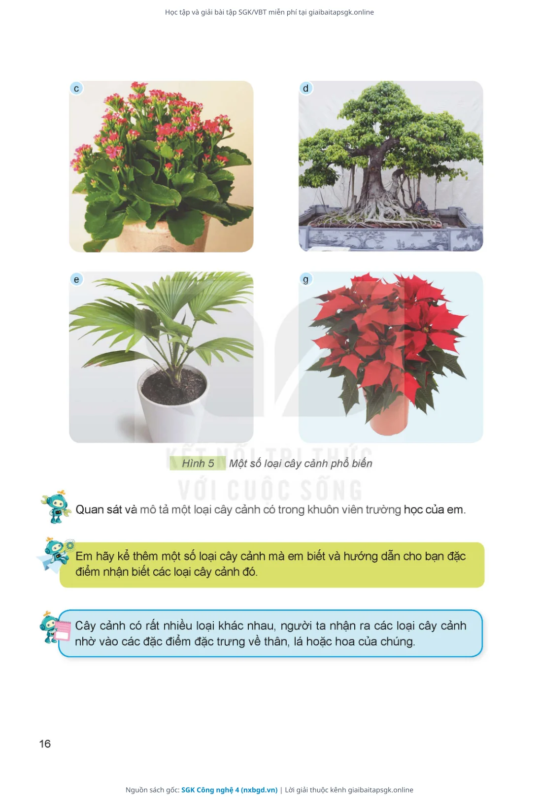 Trang 17 sách giáo khoa SGK Công nghệ 4 thu nhỏ
