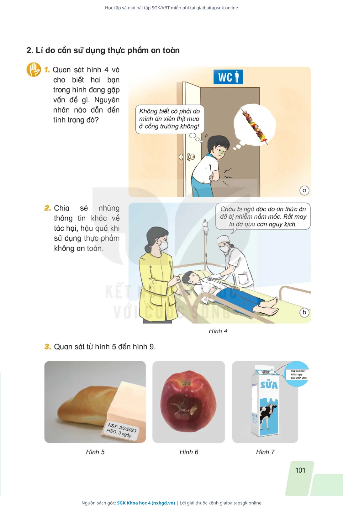 Trang 98 sách giáo khoa SGK Khoa học 4 thu nhỏ