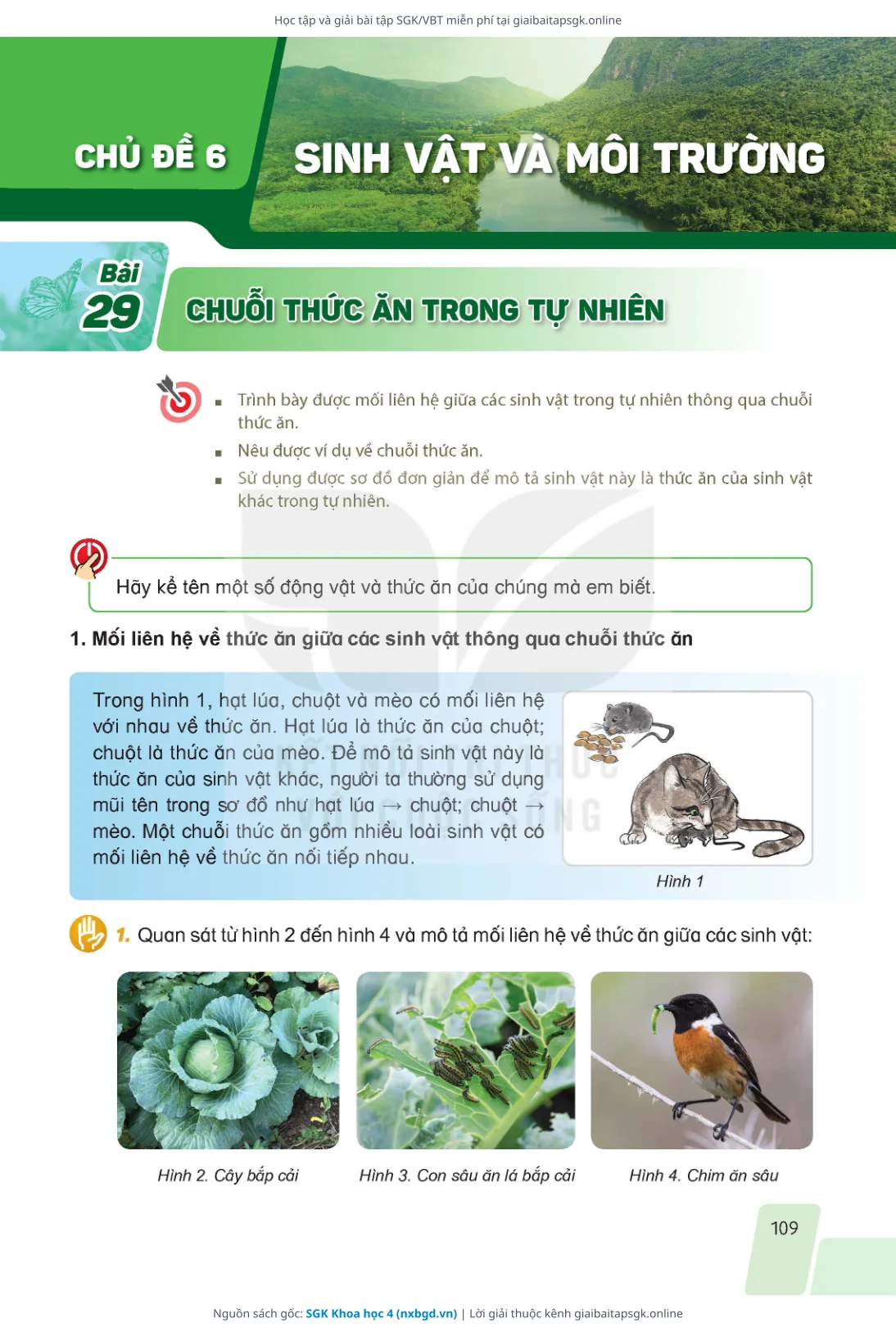Trang 106 sách giáo khoa SGK Khoa học 4 thu nhỏ
