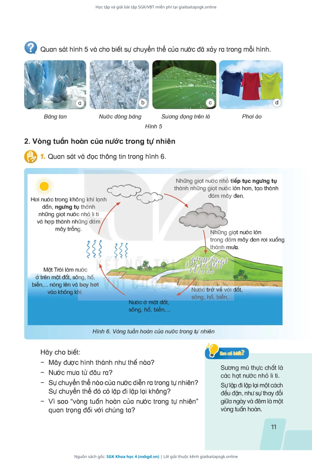 Trang 8 sách giáo khoa SGK Khoa học 4 thu nhỏ