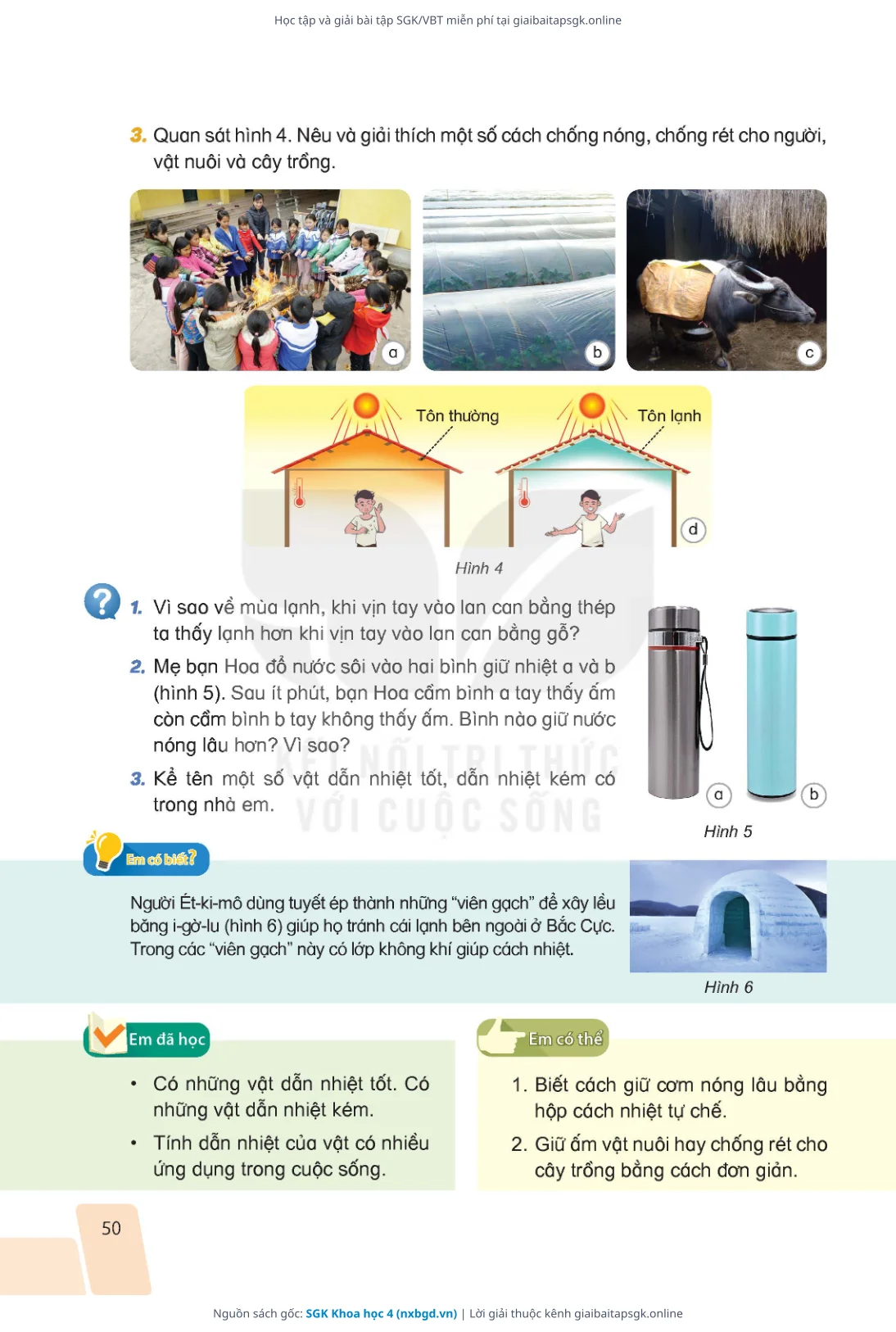 Trang 47 sách giáo khoa SGK Khoa học 4 bản chuẩn