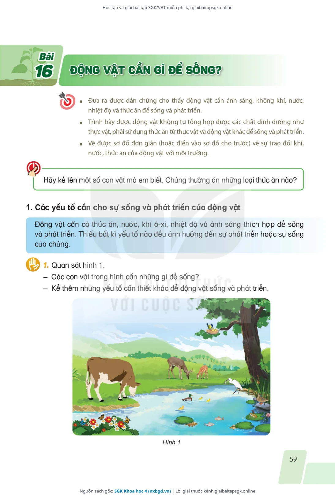 Trang 56 sách giáo khoa SGK Khoa học 4 thu nhỏ