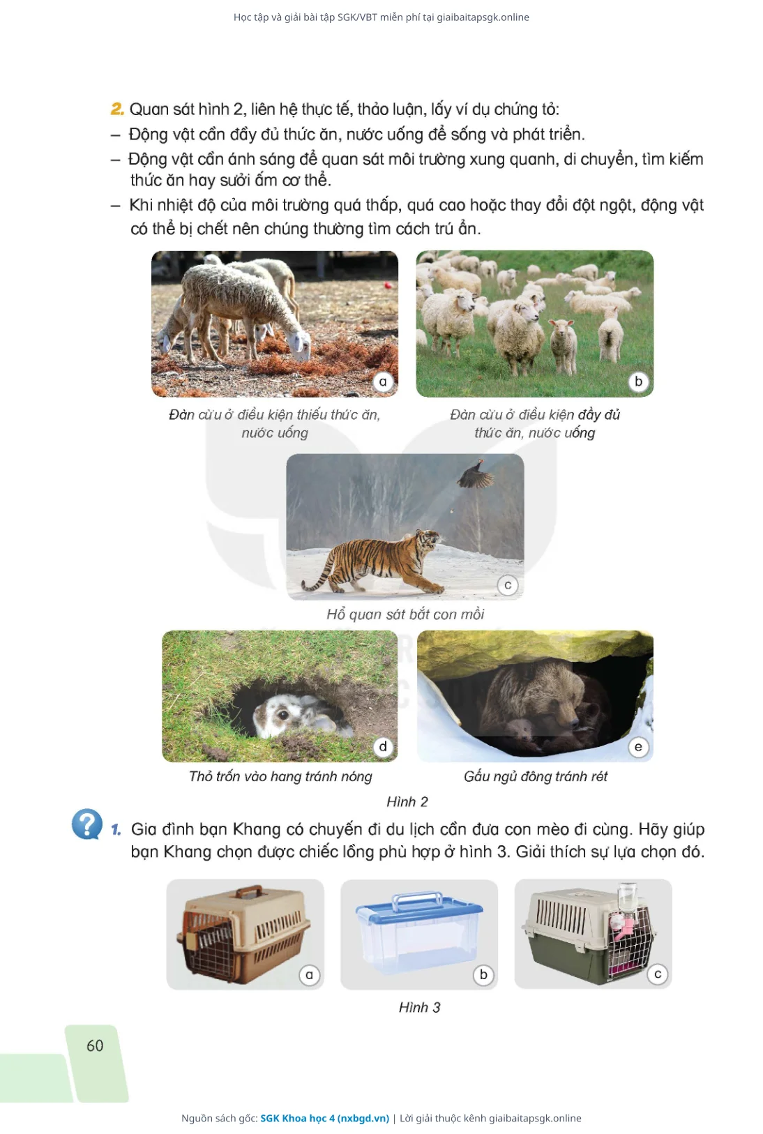 Trang 57 sách giáo khoa SGK Khoa học 4 thu nhỏ