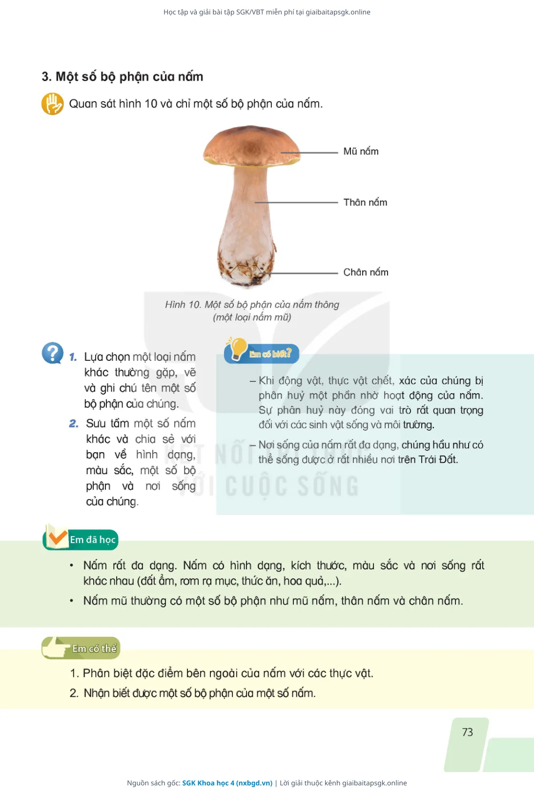 Trang 70 sách giáo khoa SGK Khoa học 4 bản chuẩn