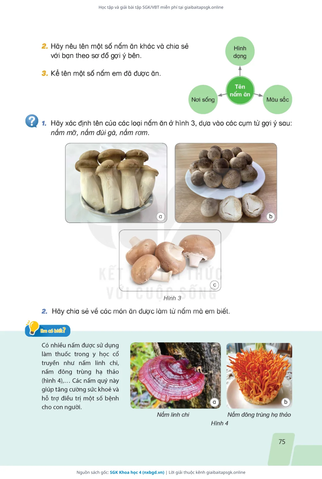 Trang 72 sách giáo khoa SGK Khoa học 4 thu nhỏ