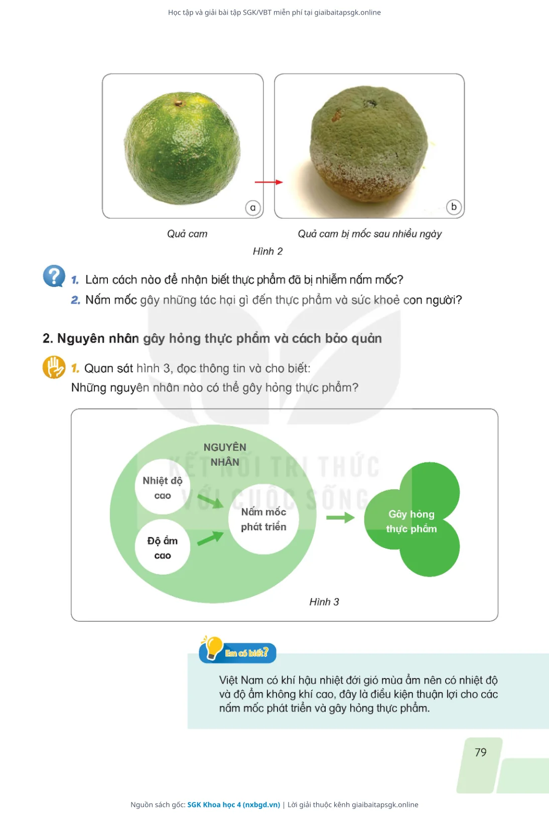 Trang 76 sách giáo khoa SGK Khoa học 4 thu nhỏ
