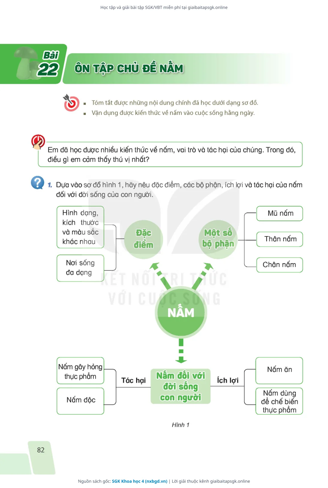 Trang 79 sách giáo khoa SGK Khoa học 4 thu nhỏ