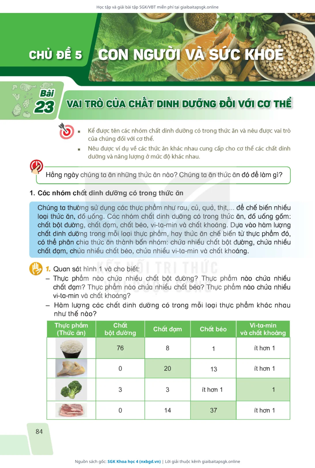 Trang 81 sách giáo khoa SGK Khoa học 4 thu nhỏ