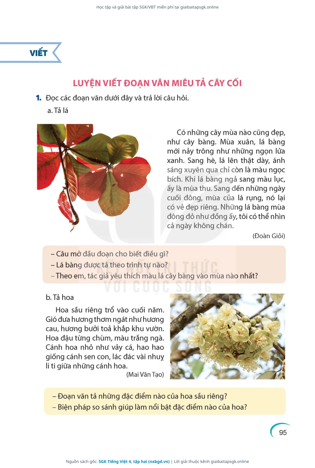 Trang 96 sách giáo khoa SGK Tiếng Việt 4, tập hai thu nhỏ
