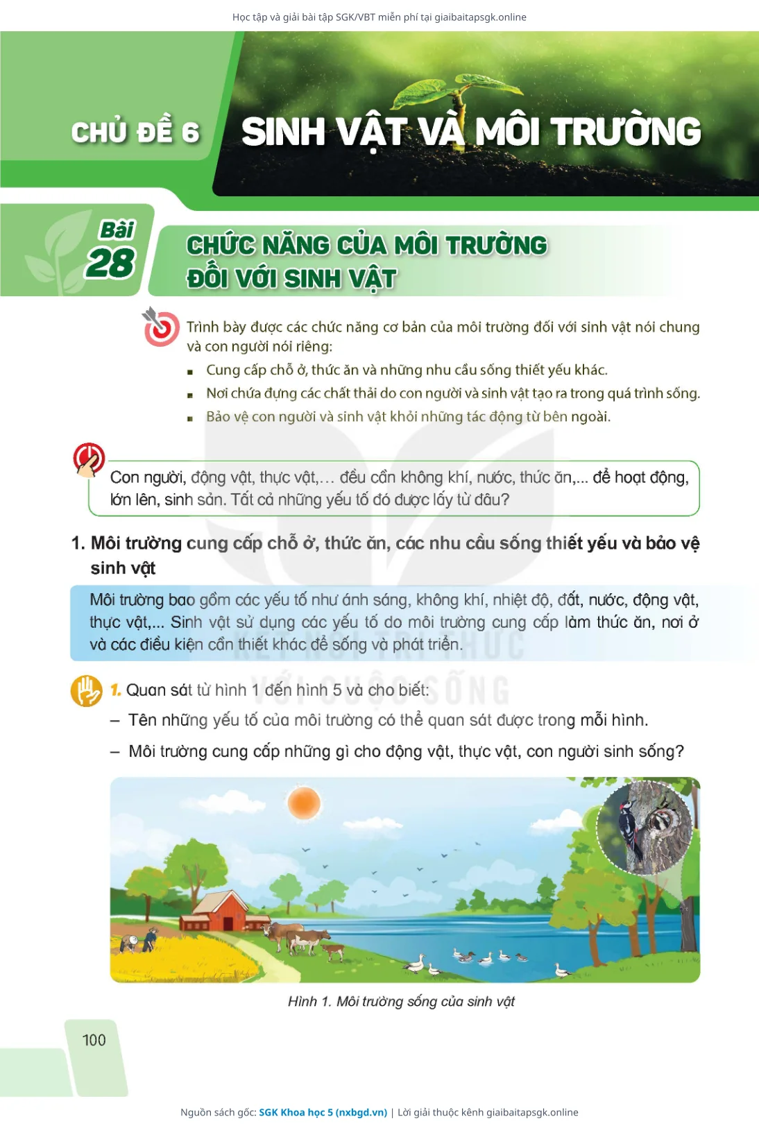 Trang 100 sách giáo khoa SGK Khoa học 5 bản chuẩn
