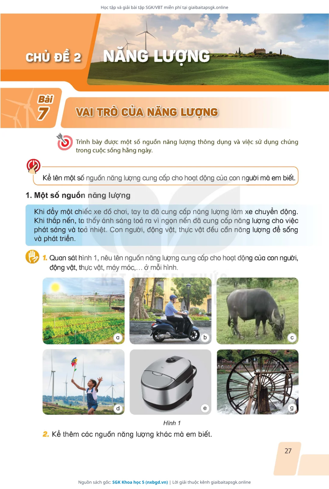 Trang 27 sách giáo khoa SGK Khoa học 5 bản chuẩn
