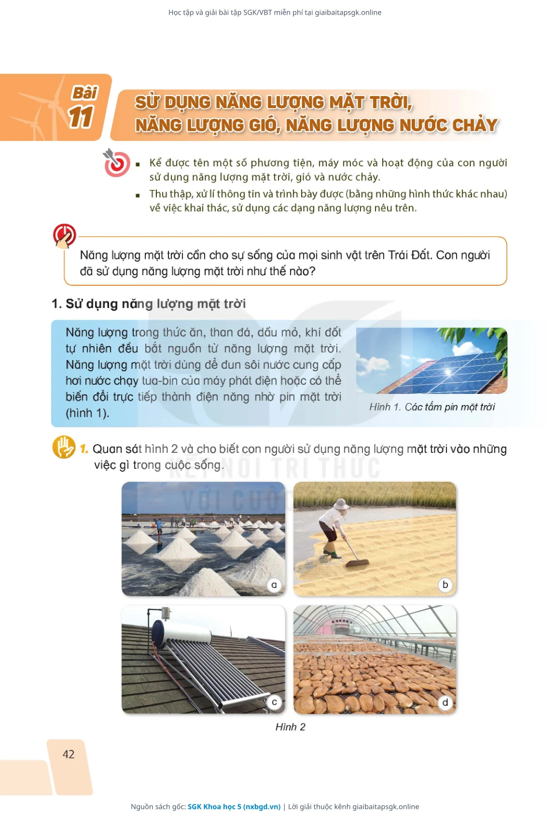 Trang 42 sách giáo khoa SGK Khoa học 5 bản chuẩn