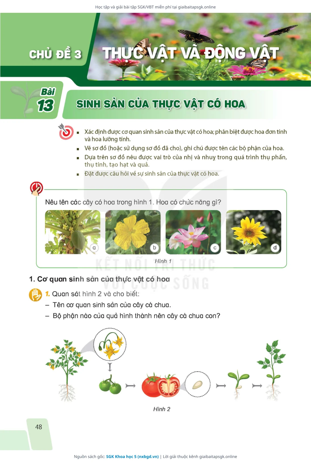 Trang 48 sách giáo khoa SGK Khoa học 5 bản chuẩn