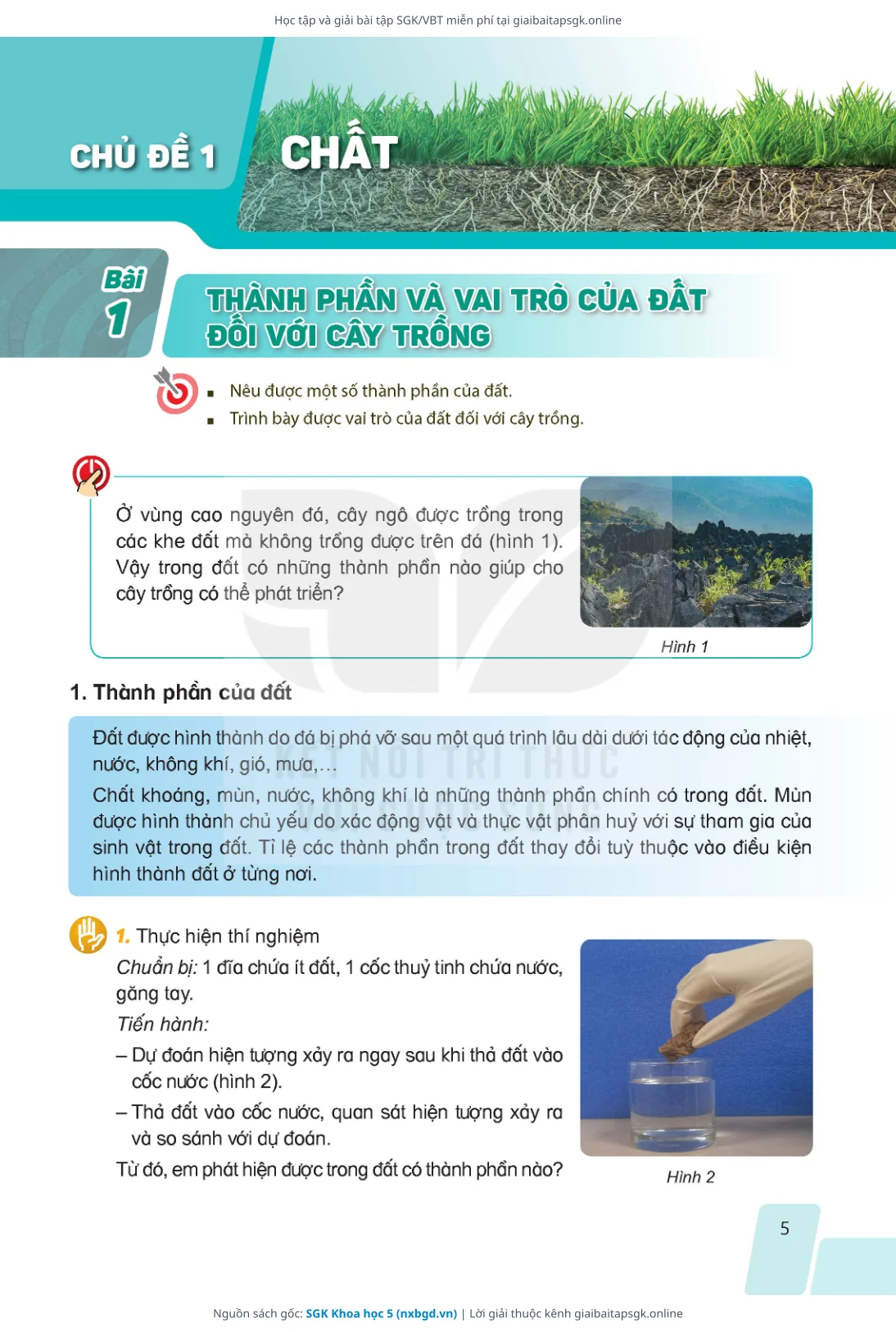 Trang 5 sách giáo khoa SGK Khoa học 5 bản chuẩn