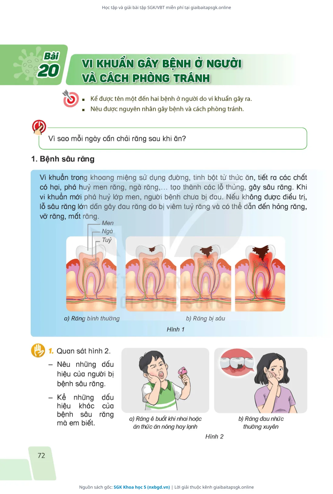 Trang 72 sách giáo khoa SGK Khoa học 5 bản chuẩn