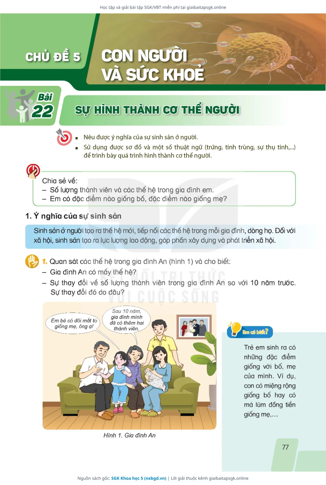 Trang 77 sách giáo khoa SGK Khoa học 5 bản chuẩn