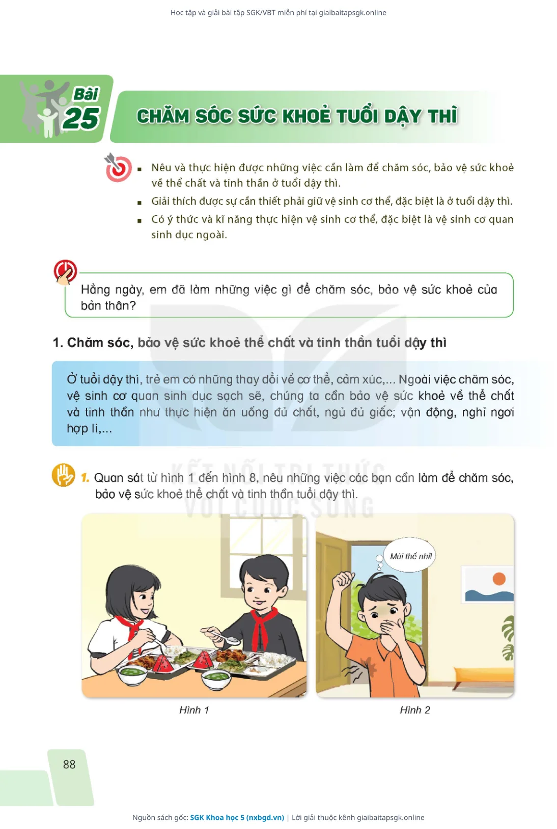 Trang 88 sách giáo khoa SGK Khoa học 5 bản chuẩn