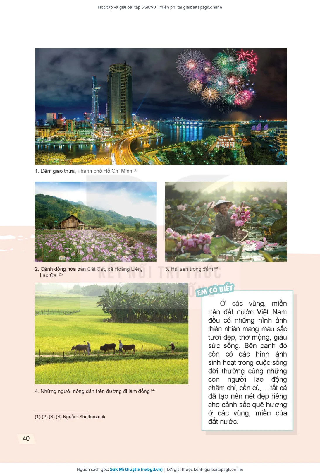 Trang 41 sách giáo khoa SGK Mĩ thuật 5 thu nhỏ