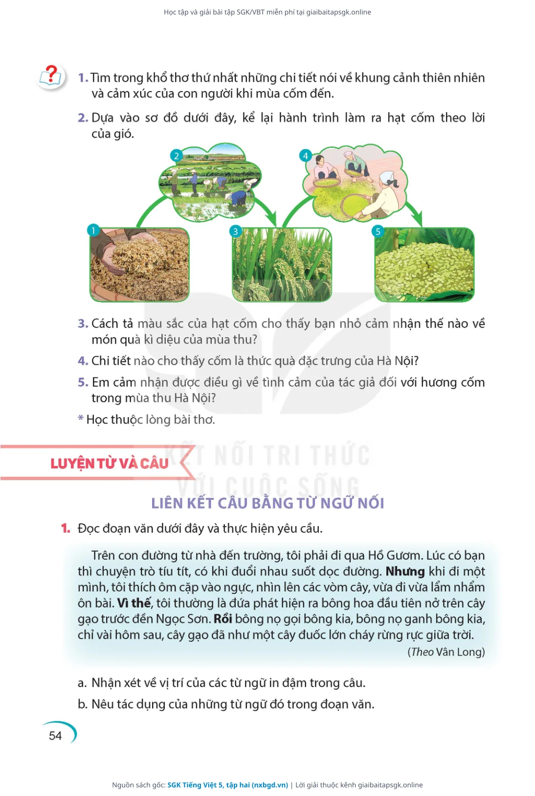 Trang 55 sách giáo khoa SGK Tiếng Việt 5, tập hai thu nhỏ