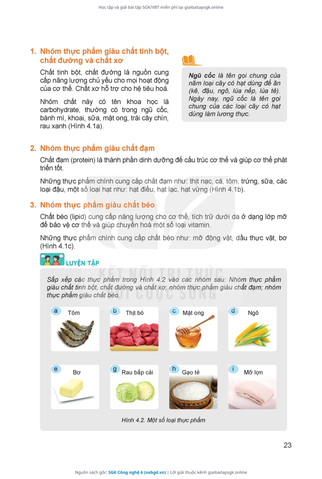 Trang 24 sách giáo khoa SGK Công nghệ 6 thu nhỏ