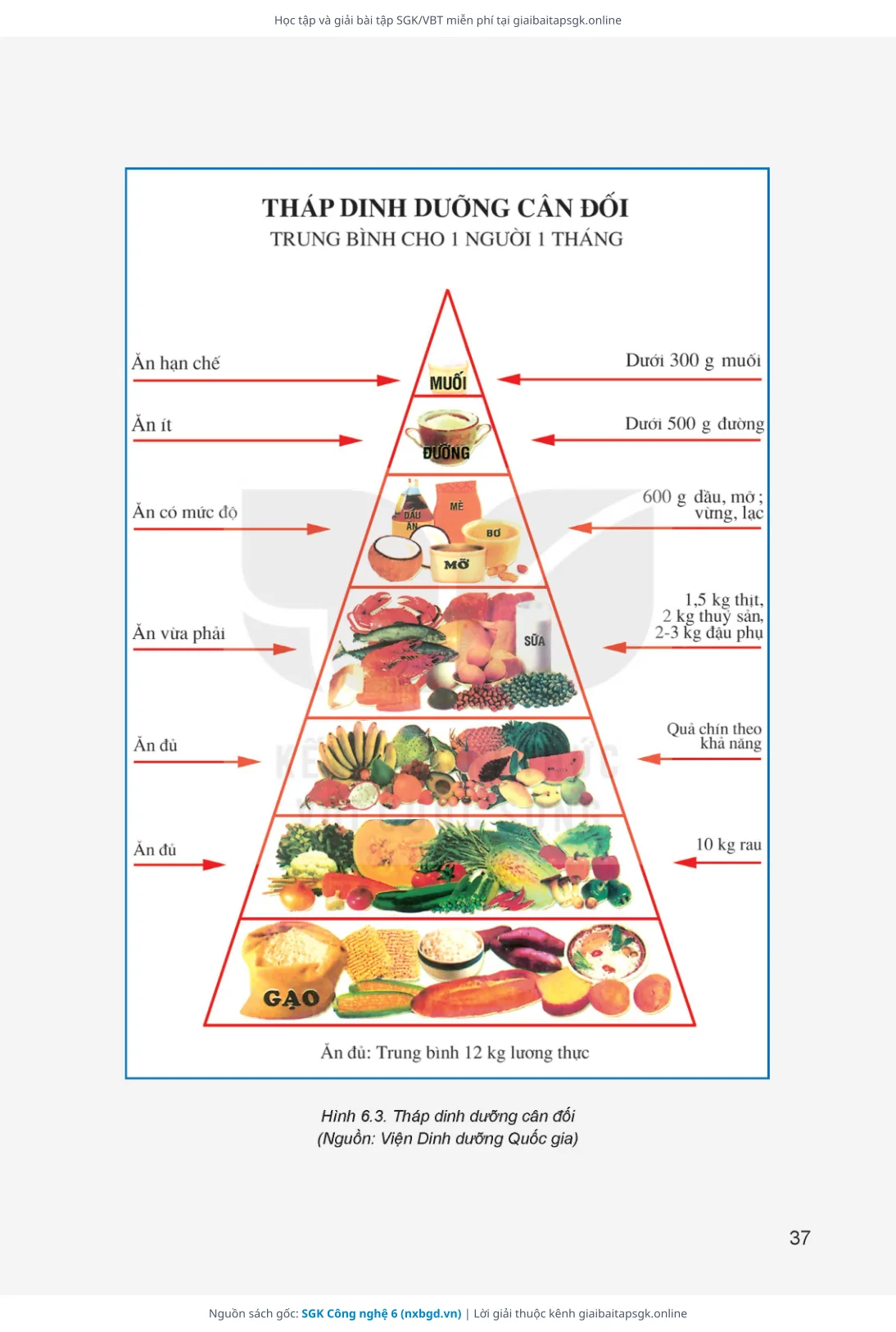 Trang 38 sách giáo khoa SGK Công nghệ 6 thu nhỏ