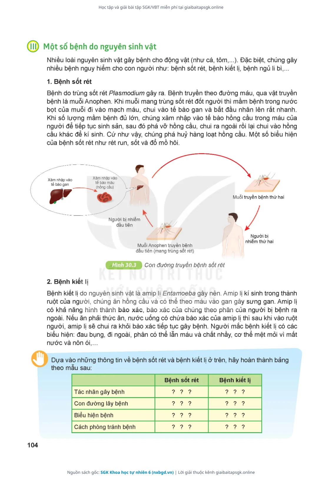 Trang 105 sách giáo khoa SGK Khoa học tự nhiên 6 thu nhỏ