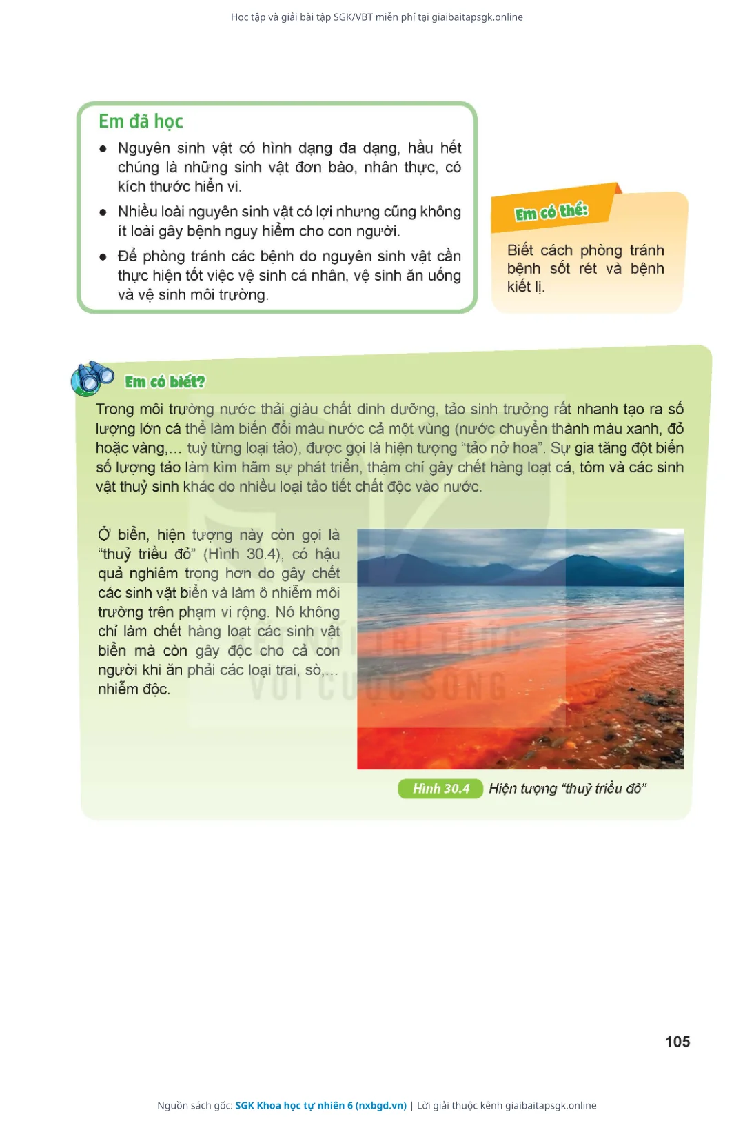 Trang 106 sách giáo khoa SGK Khoa học tự nhiên 6 thu nhỏ