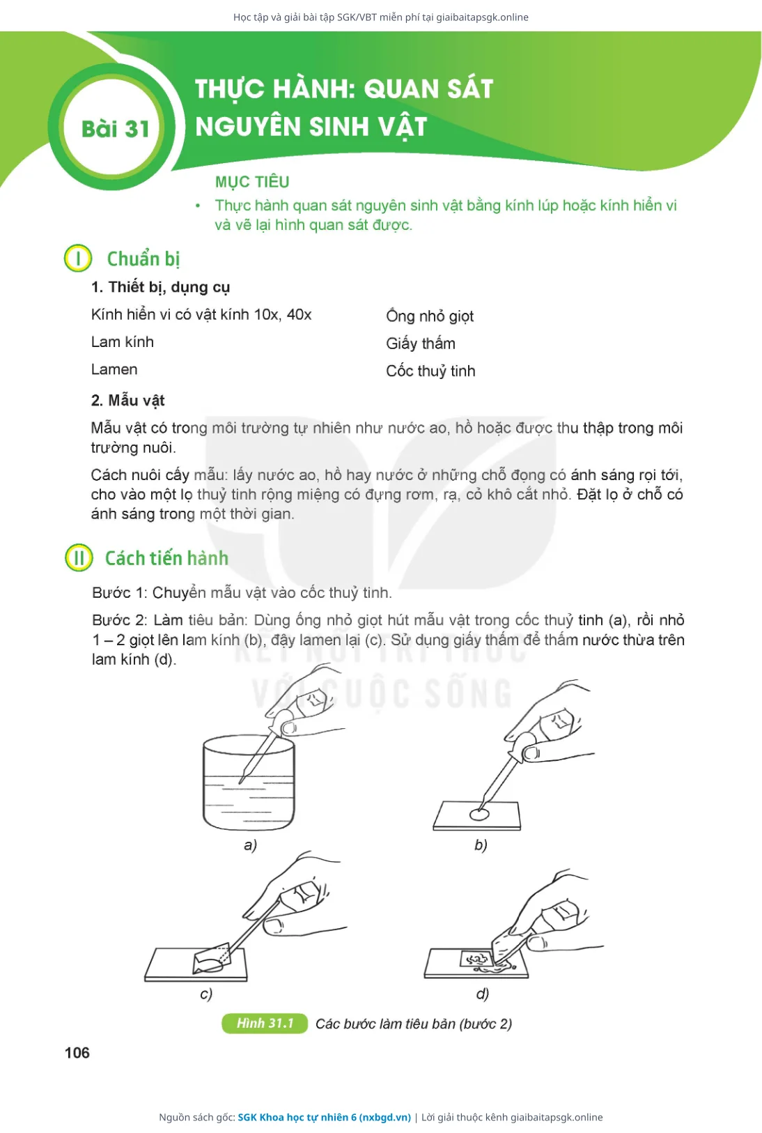 Trang 107 sách giáo khoa SGK Khoa học tự nhiên 6 thu nhỏ