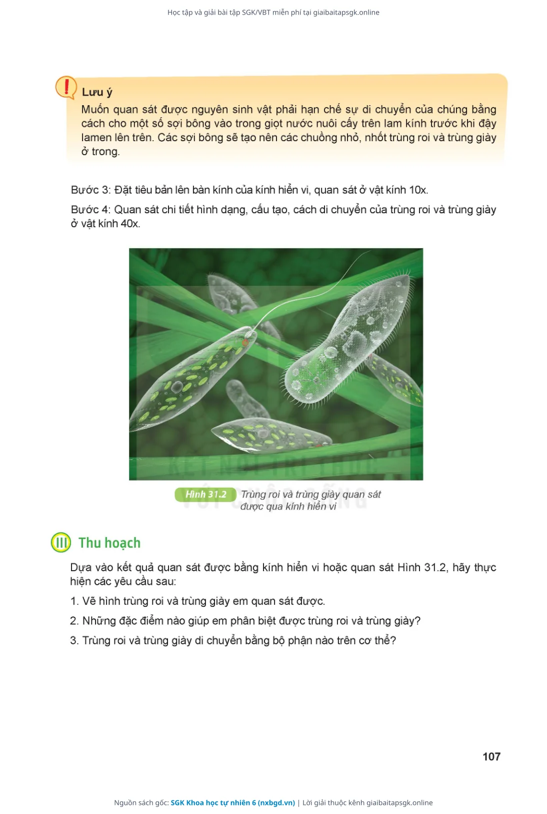 Trang 108 sách giáo khoa SGK Khoa học tự nhiên 6 thu nhỏ