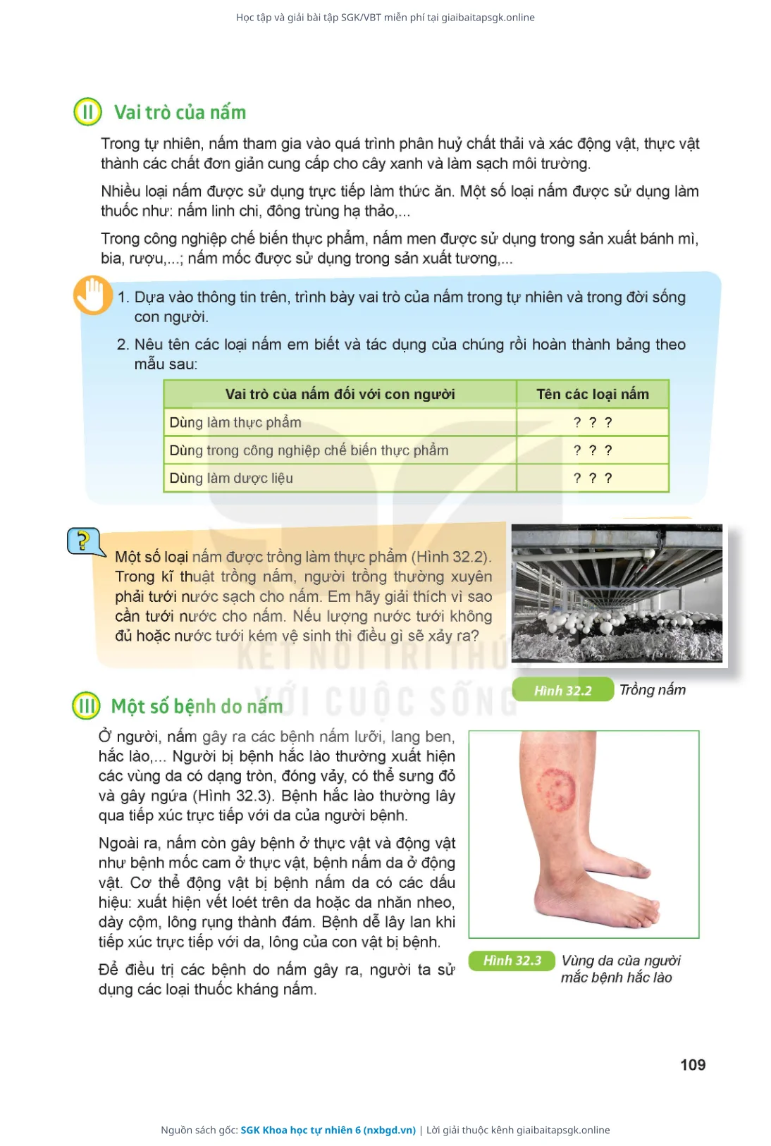 Trang 110 sách giáo khoa SGK Khoa học tự nhiên 6 thu nhỏ