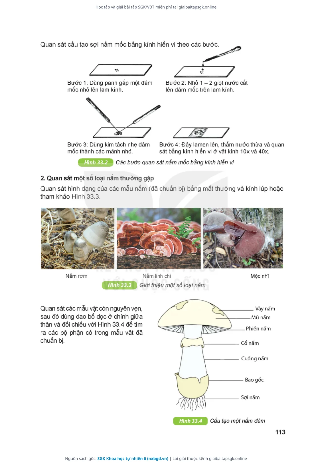 Trang 114 sách giáo khoa SGK Khoa học tự nhiên 6 thu nhỏ