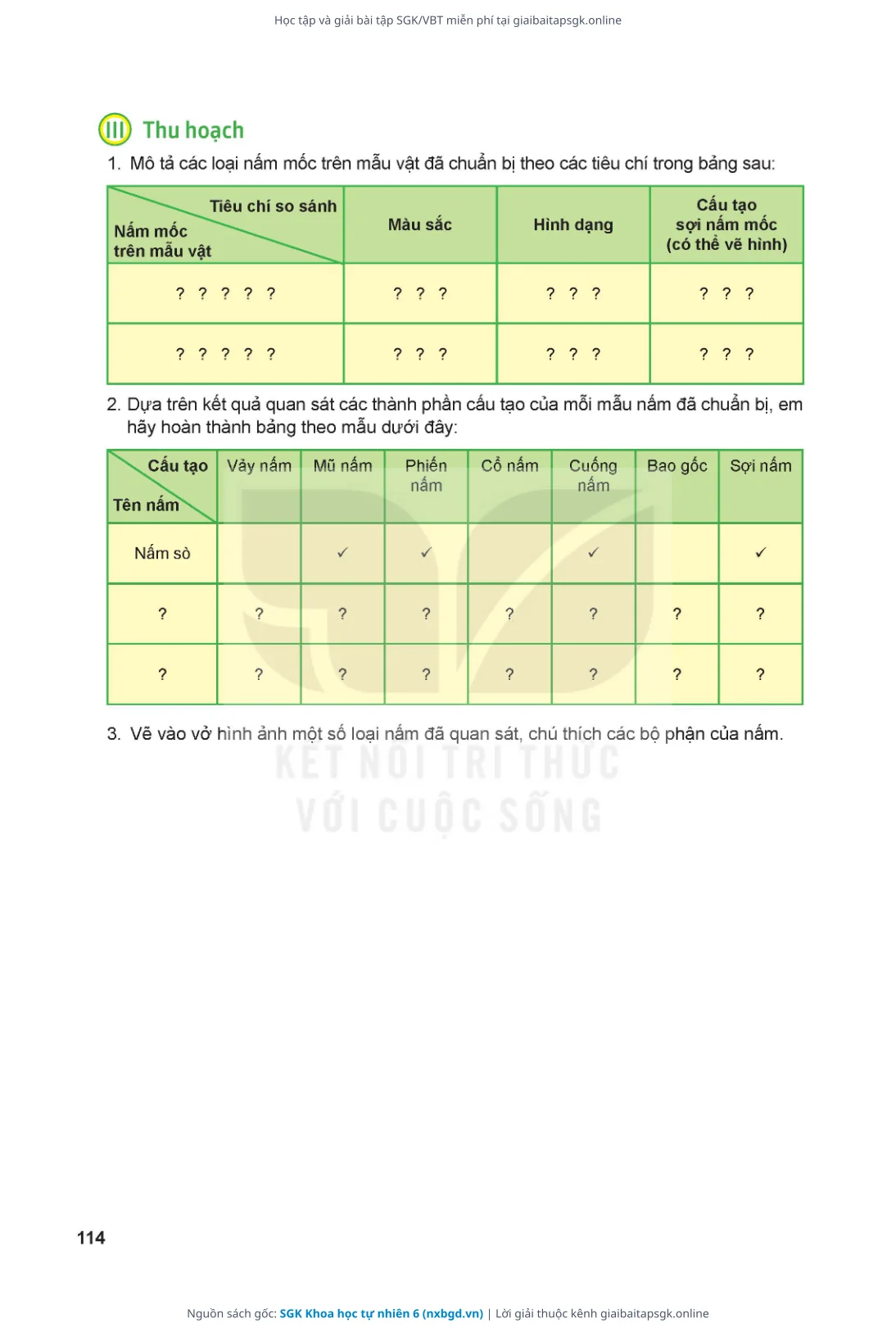 Trang 115 sách giáo khoa SGK Khoa học tự nhiên 6 thu nhỏ