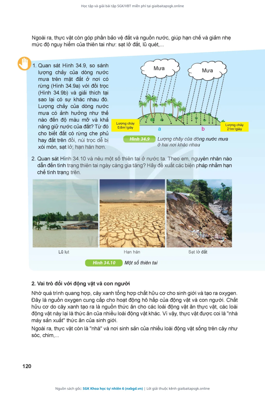 Trang 121 sách giáo khoa SGK Khoa học tự nhiên 6 thu nhỏ