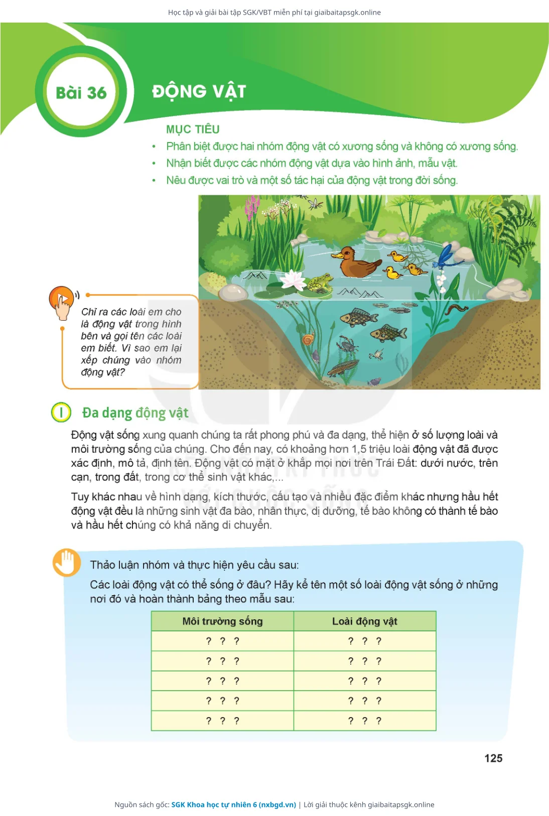 Trang 126 sách giáo khoa SGK Khoa học tự nhiên 6 thu nhỏ