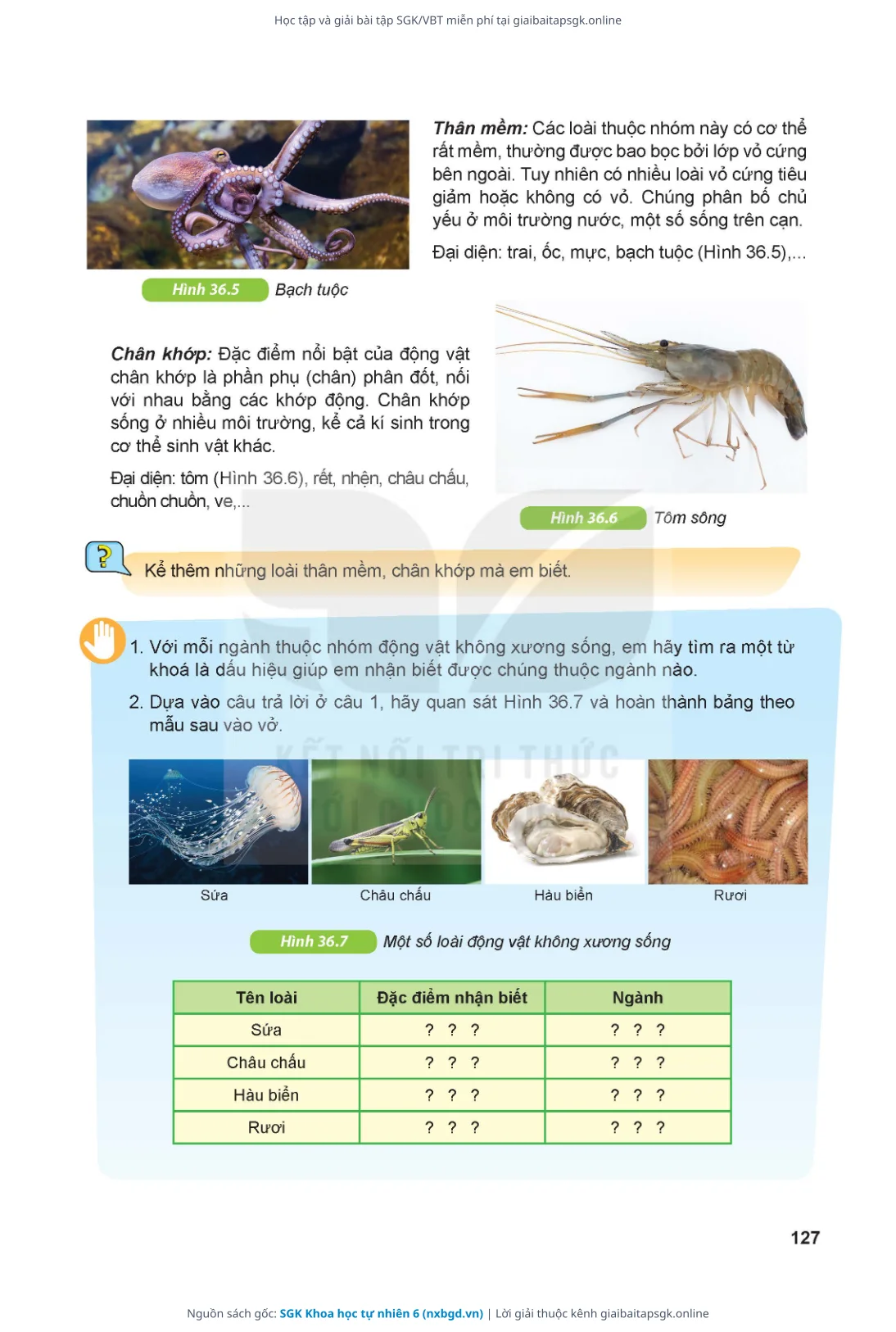 Trang 128 sách giáo khoa SGK Khoa học tự nhiên 6 thu nhỏ