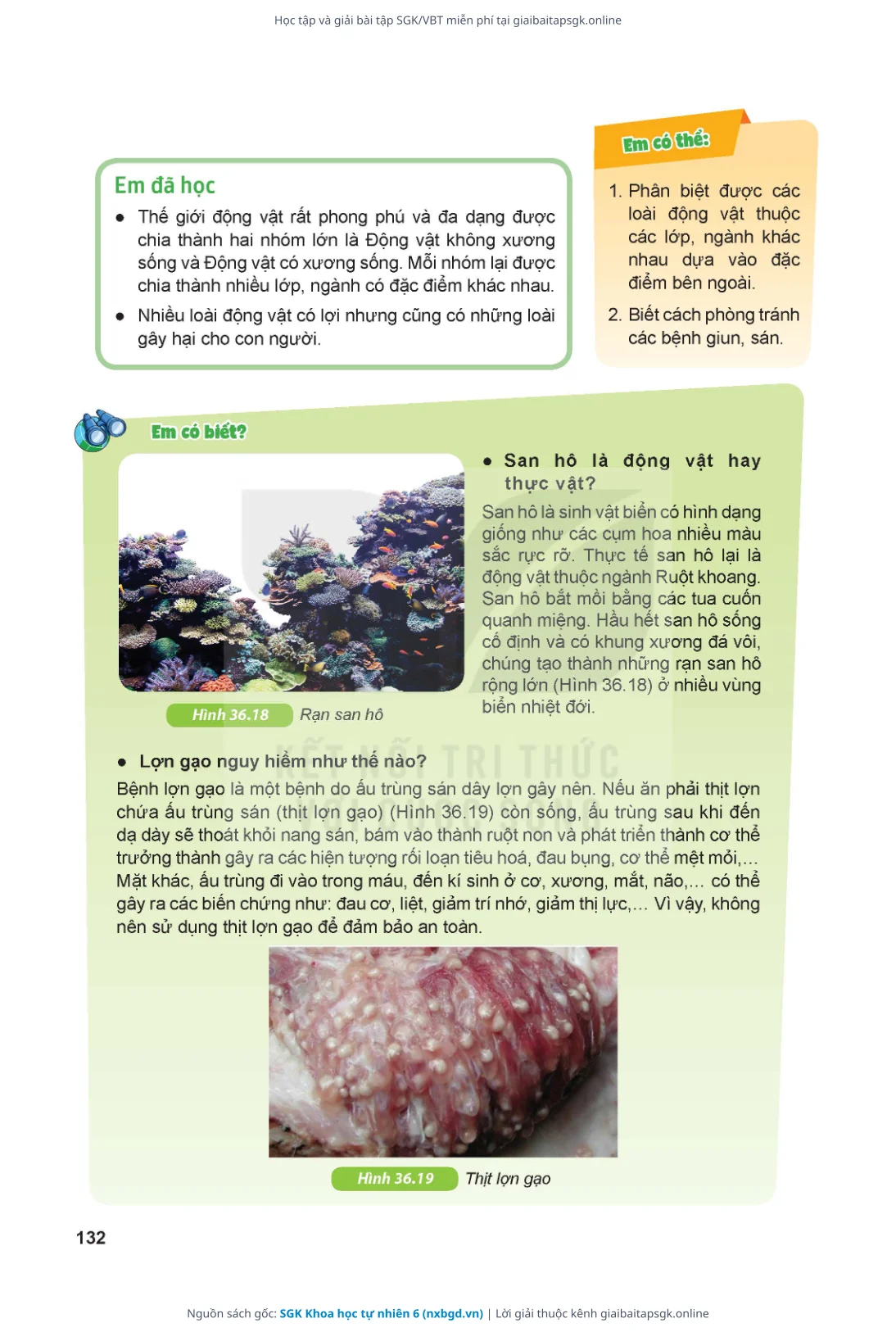 Trang 133 sách giáo khoa SGK Khoa học tự nhiên 6 thu nhỏ
