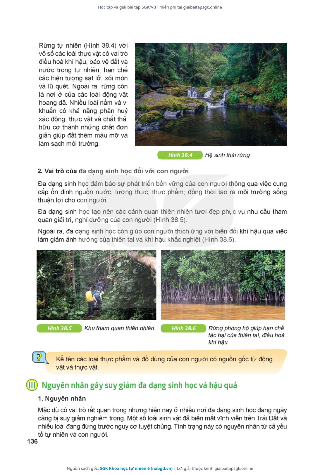 Trang 137 sách giáo khoa SGK Khoa học tự nhiên 6 thu nhỏ
