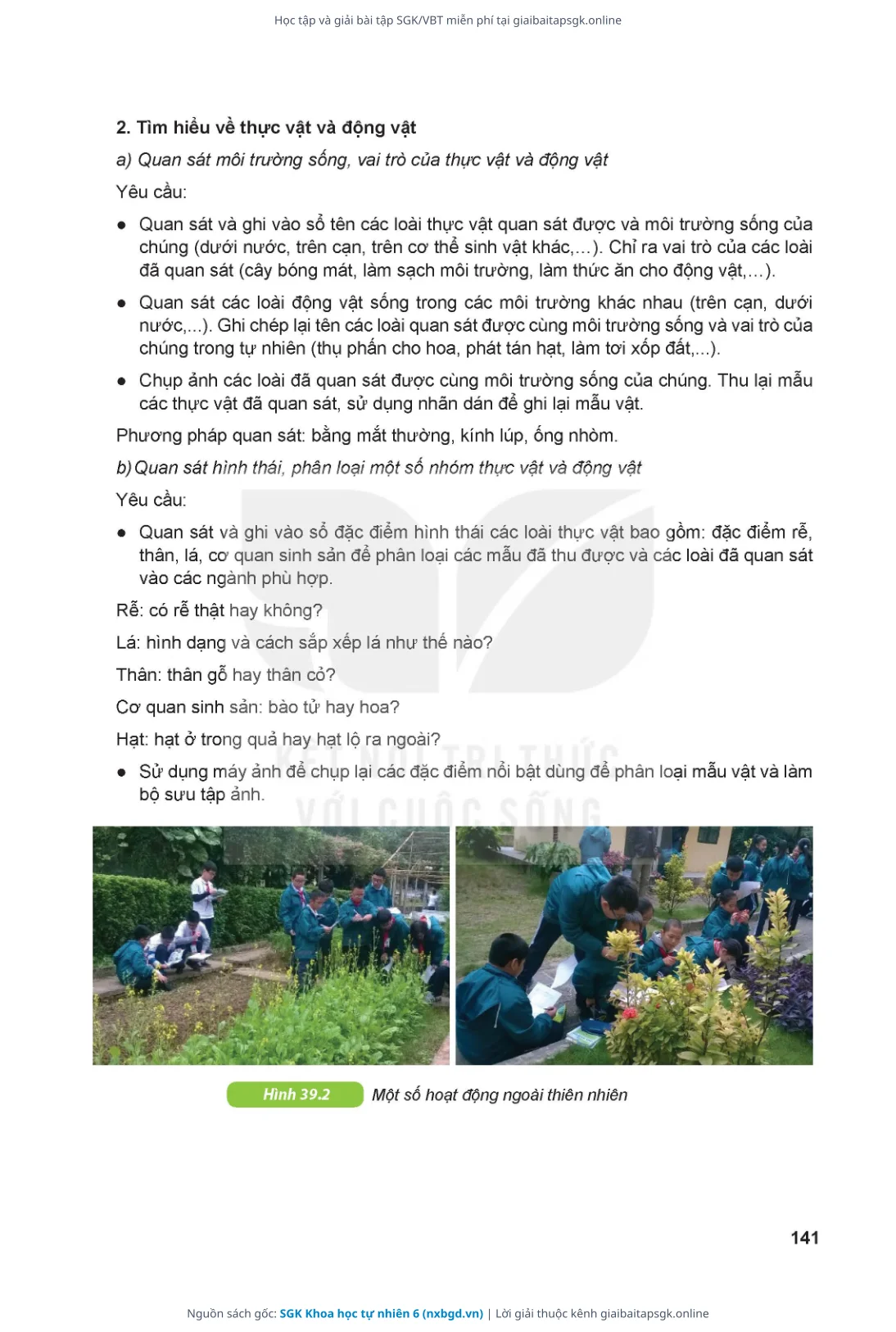 Trang 142 sách giáo khoa SGK Khoa học tự nhiên 6 thu nhỏ