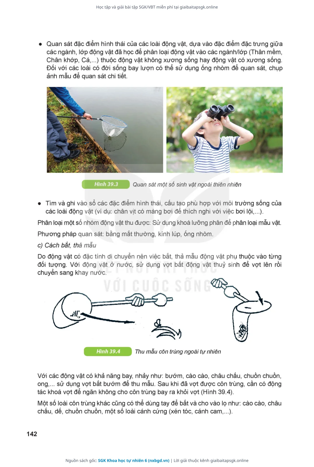 Trang 143 sách giáo khoa SGK Khoa học tự nhiên 6 thu nhỏ