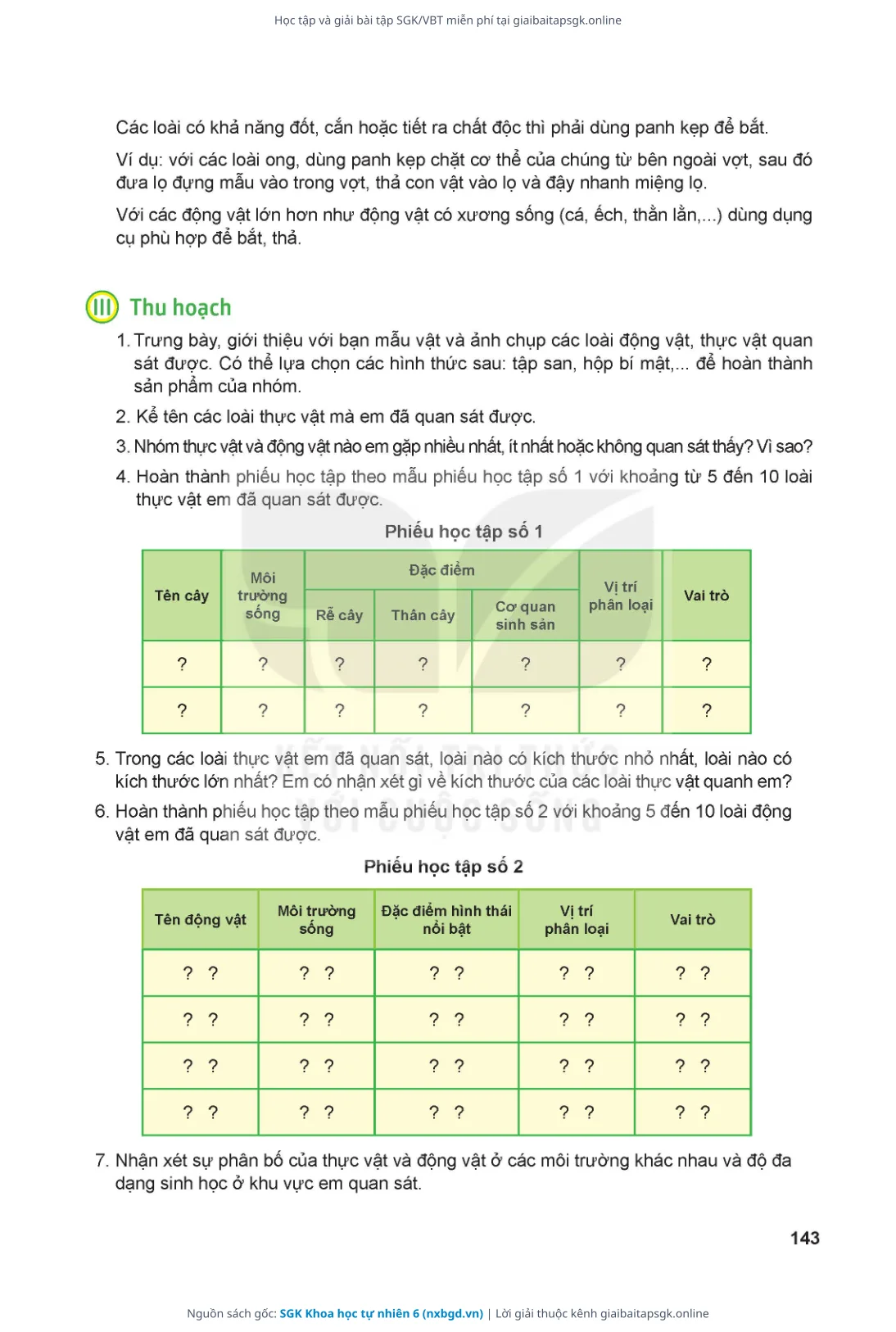 Trang 144 sách giáo khoa SGK Khoa học tự nhiên 6 thu nhỏ