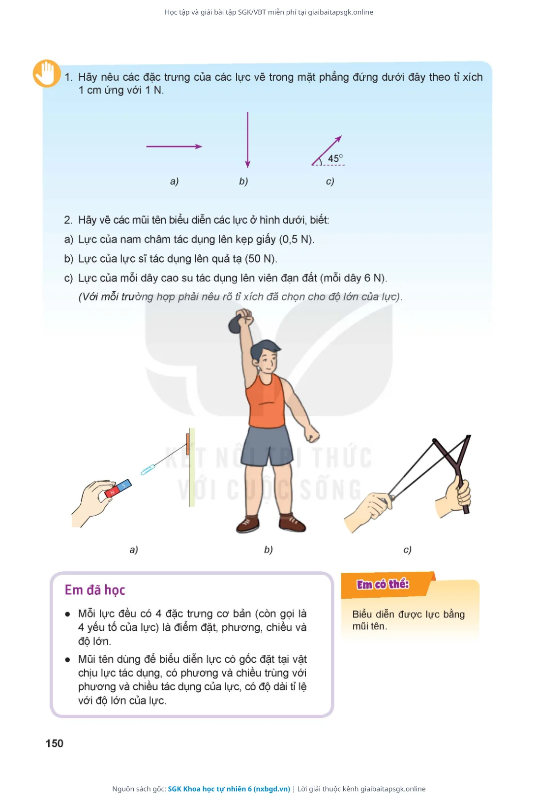 Trang 151 sách giáo khoa SGK Khoa học tự nhiên 6 thu nhỏ